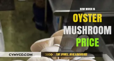 Exploring the Cost of Oyster Mushrooms: A Comprehensive Guide