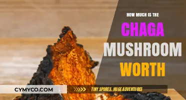 Unlocking the Value: A Deep Dive into Chaga Mushroom's Worth