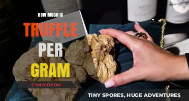 Decoding the Cost: How Much is Truffle Per Gram?