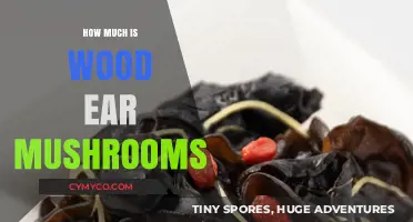 Exploring the Cost of Wood Ear Mushrooms: A Comprehensive Guide