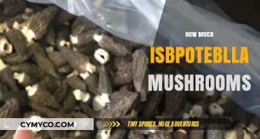 Exploring the Value of Morel Mushrooms: A Comprehensive Guide