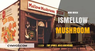 Exploring the Cost of Mellow Mushrooms: A Comprehensive Guide