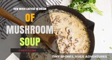 Lactose Content in Cream of Mushroom Soup: A Comprehensive Guide