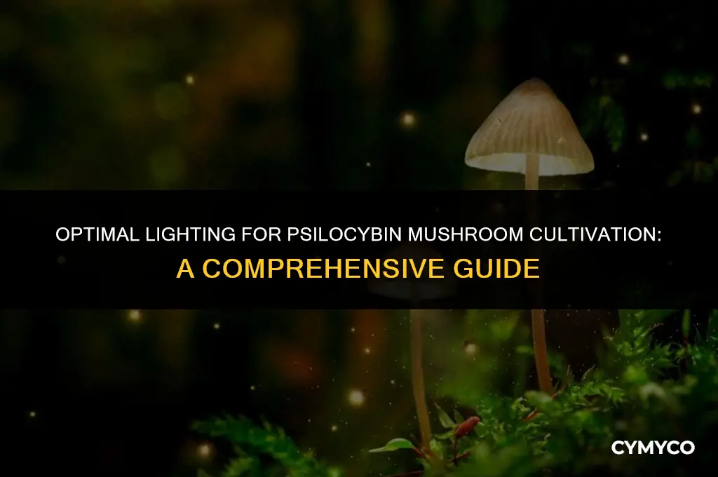 how much light do mushrooms need psilocybin shroomery