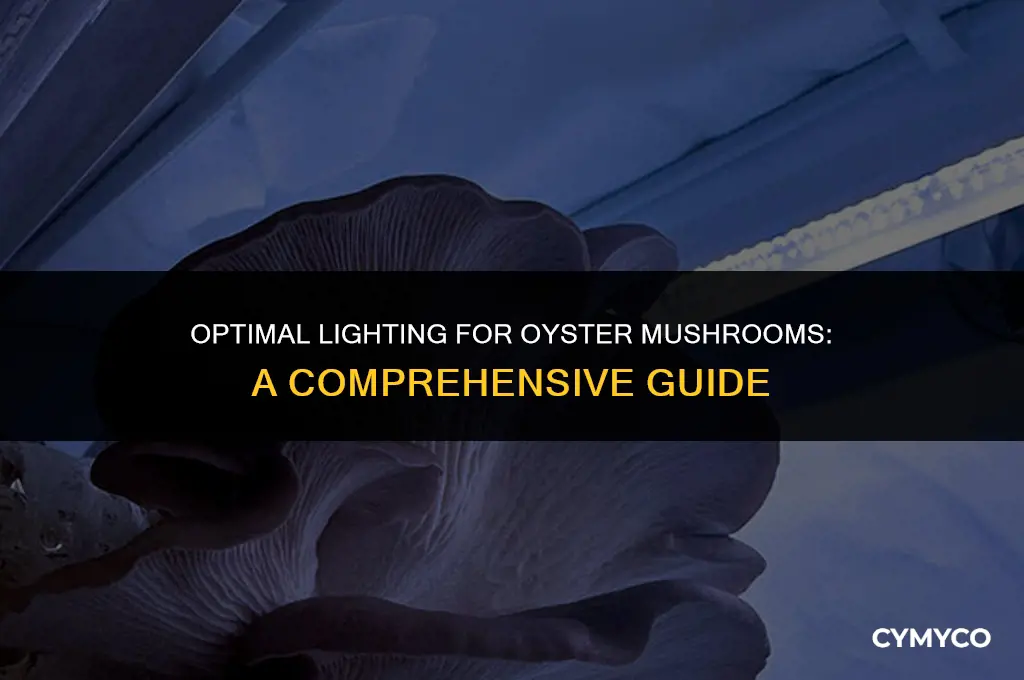 how much light do oyster mushrooms need