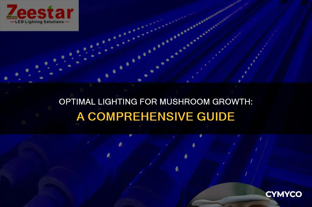 how much light do you mrrf for mushroom
