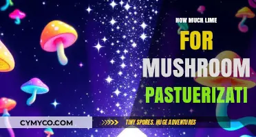 Mastering Mushroom Pasteurization: The Essential Lime Guide