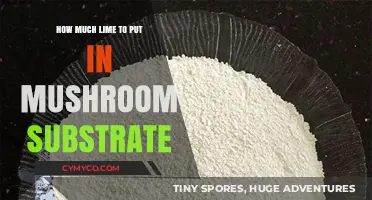 Optimizing Lime Addition for Healthy Mushroom Substrate Growth
