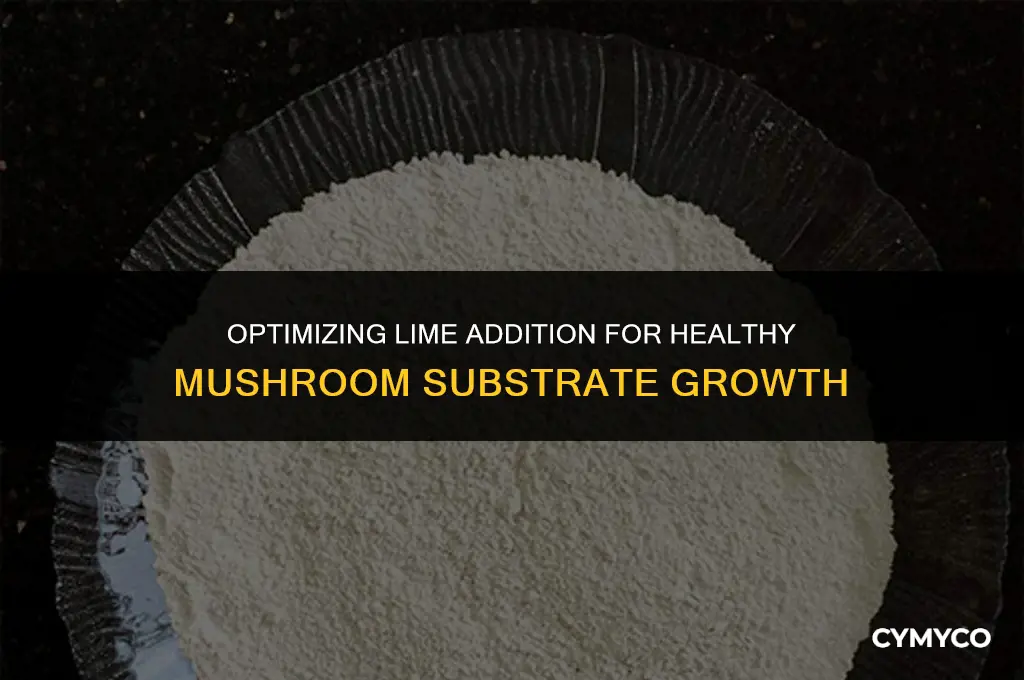 how much lime to put in mushroom substrate