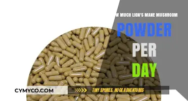 Optimal Daily Intake of Lion's Mane Mushroom Powder: A Comprehensive Guide