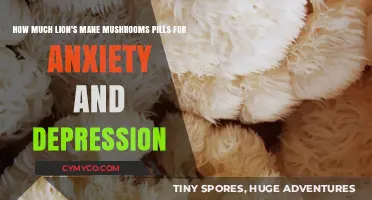 Natural Relief: Lion's Mane Mushrooms for Anxiety and Depression
