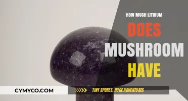 Exploring the Lithium Content in Mushrooms: A Nutritional Insight