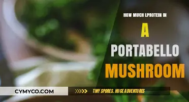 Exploring the Protein Power of Portobello Mushrooms: A Nutritional Insight