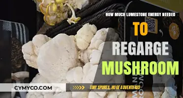 Sustainable Energy: Limestone Power for Mushroom Cultivation