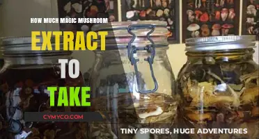 Exploring the Optimal Dosage of Magic Mushroom Extract