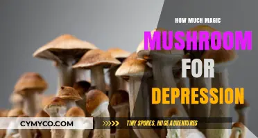 Exploring the Therapeutic Potential of Magic Mushrooms for Depression