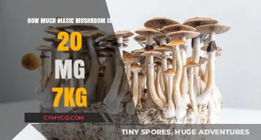 Exploring the Effects: Magic Mushroom Dosage for 7kg Individuals