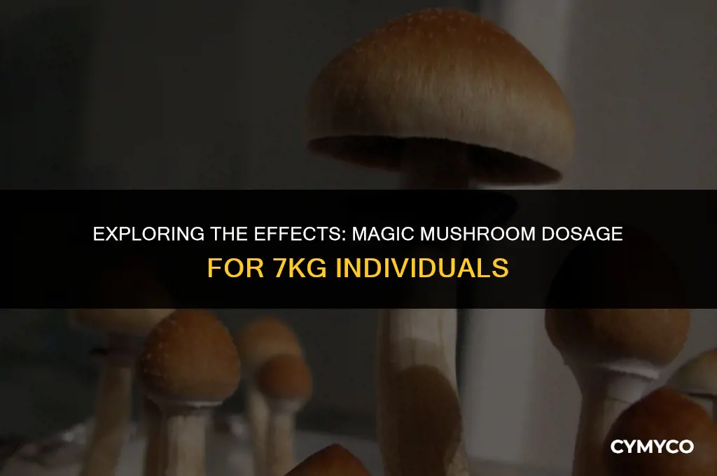 how much magic mushroom is 20 mg 7kg