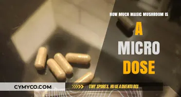 Exploring the Subtle Realms: A Guide to Microdosing Magic Mushrooms