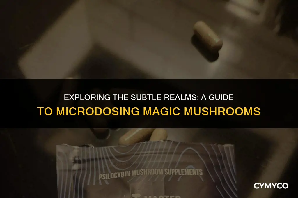 how much magic mushroom is a micro dose