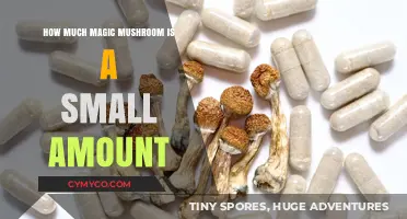 Exploring the Threshold: What Constitutes a Small Amount of Magic Mushrooms?