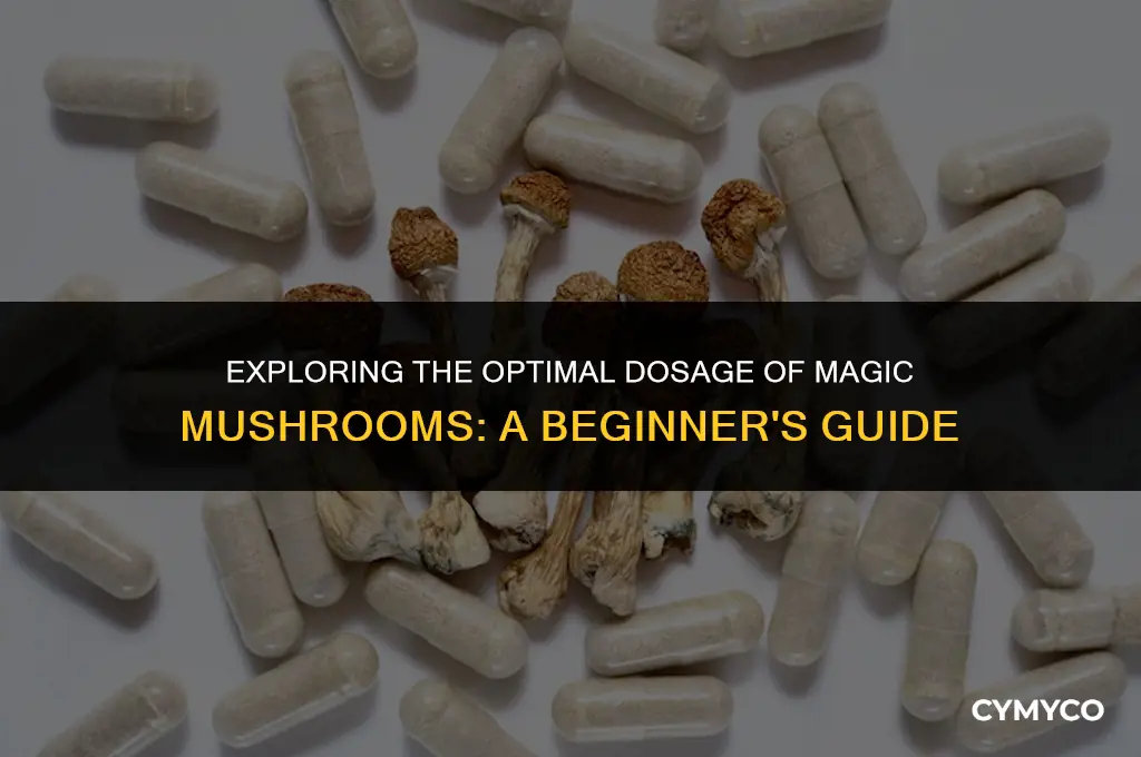 how much magic mushroom should i eat