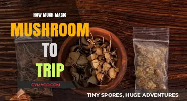 Exploring the Optimal Dose: A Guide to Magic Mushroom Trips