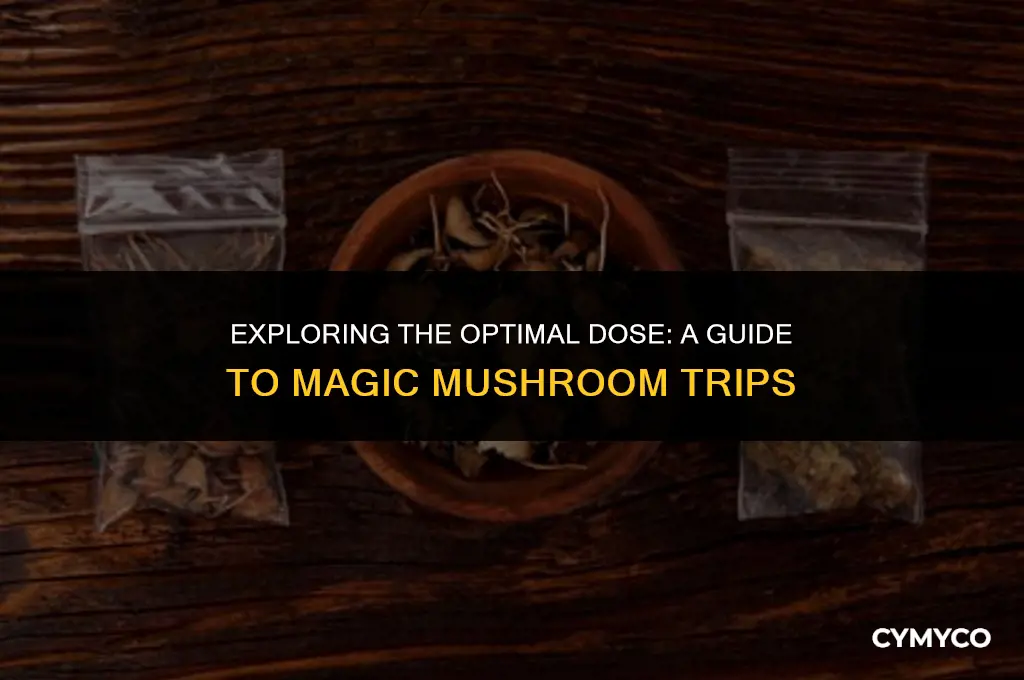 how much magic mushroom to trip