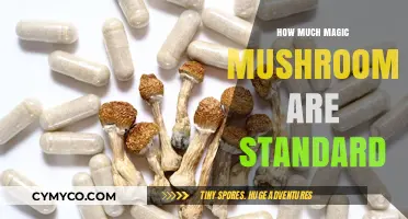 Exploring the Typical Dosage of Magic Mushrooms: A Comprehensive Guide