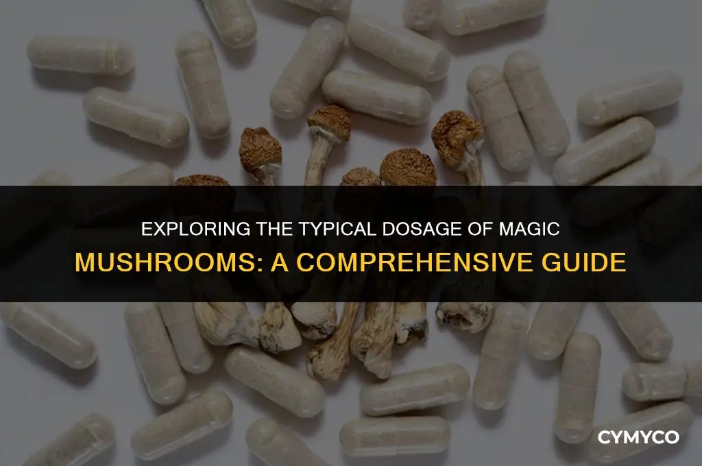 how much magic mushrooms are standard