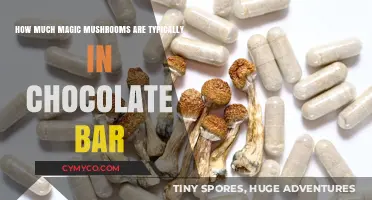 Decoding the Dosage: Magic Mushrooms in Chocolate Bars Explained