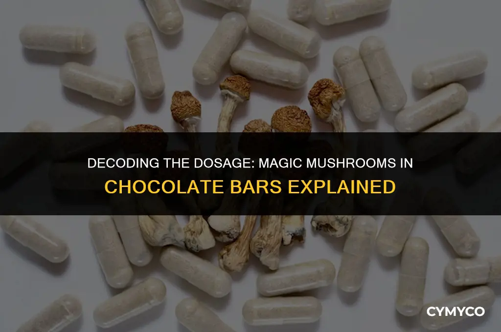 how much magic mushrooms are typically in chocolate bar