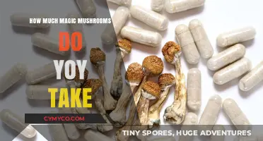 Exploring the Optimal Dosage of Magic Mushrooms: A Comprehensive Guide