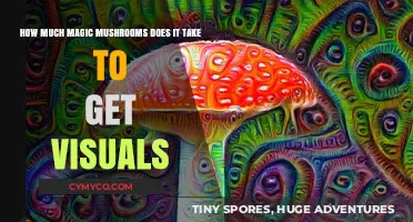 Exploring the Threshold: Magic Mushrooms and Visual Experiences