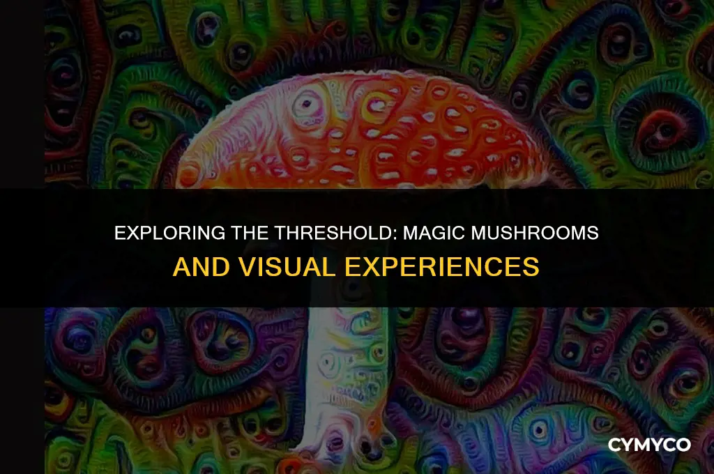 how much magic mushrooms does it take to get visuals