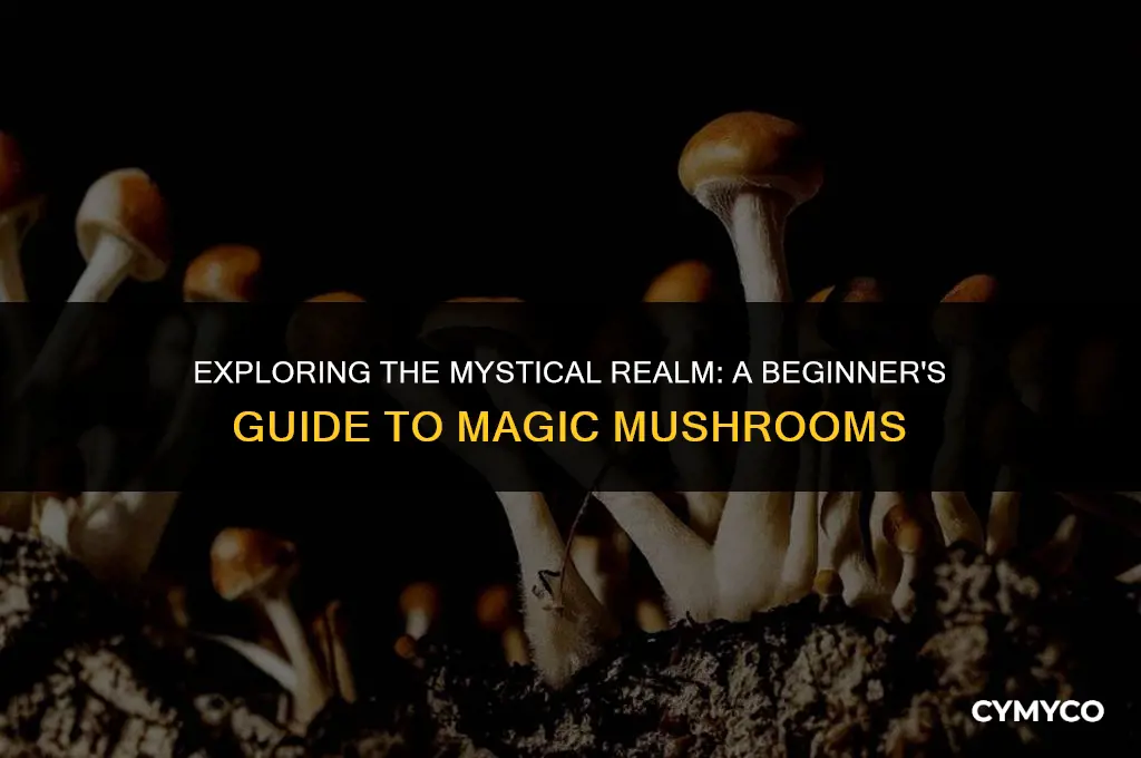 how much magic mushrooms first time