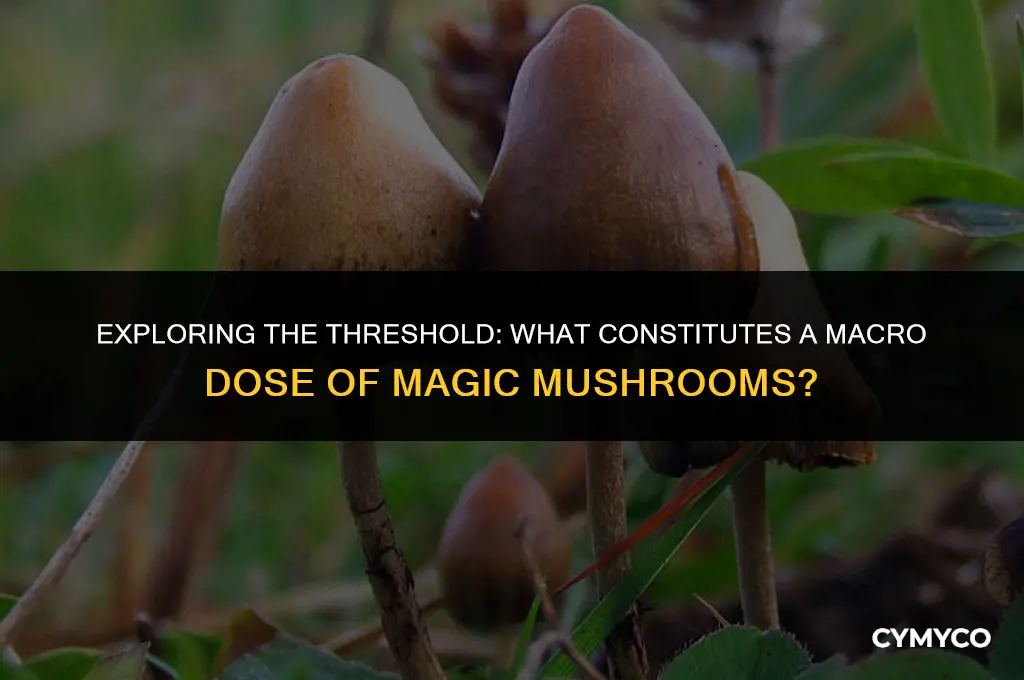 how much magic mushrooms is a macro dose