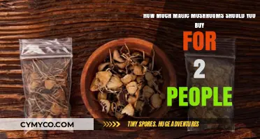 A Guide to Safely Enjoying Magic Mushrooms with a Friend