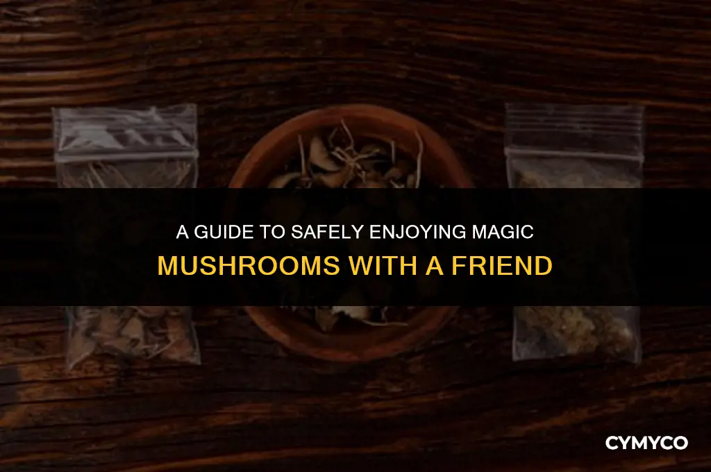 how much magic mushrooms should you buy for 2 people