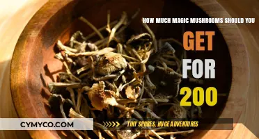 Exploring the Optimal Magic Mushroom Dosage for a $200 Budget