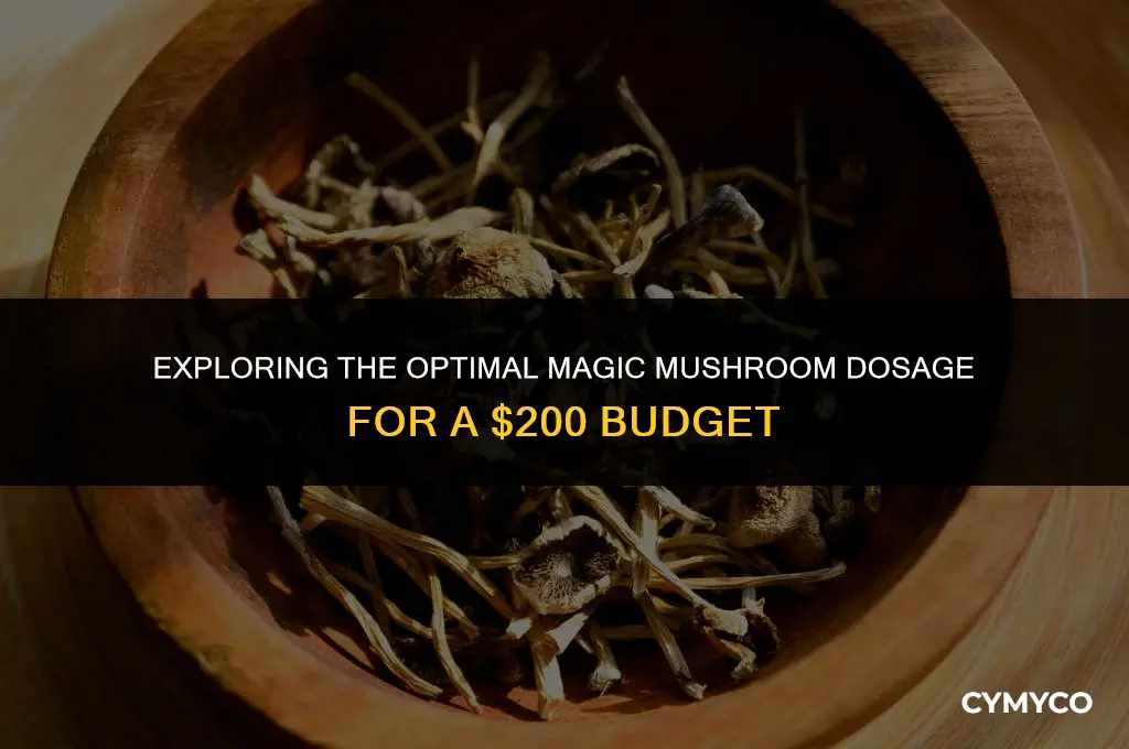 how much magic mushrooms should you get for 200