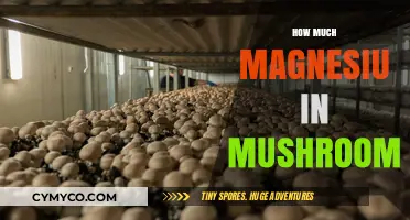 Exploring the Magnesium Content in Mushrooms: A Nutritional Insight