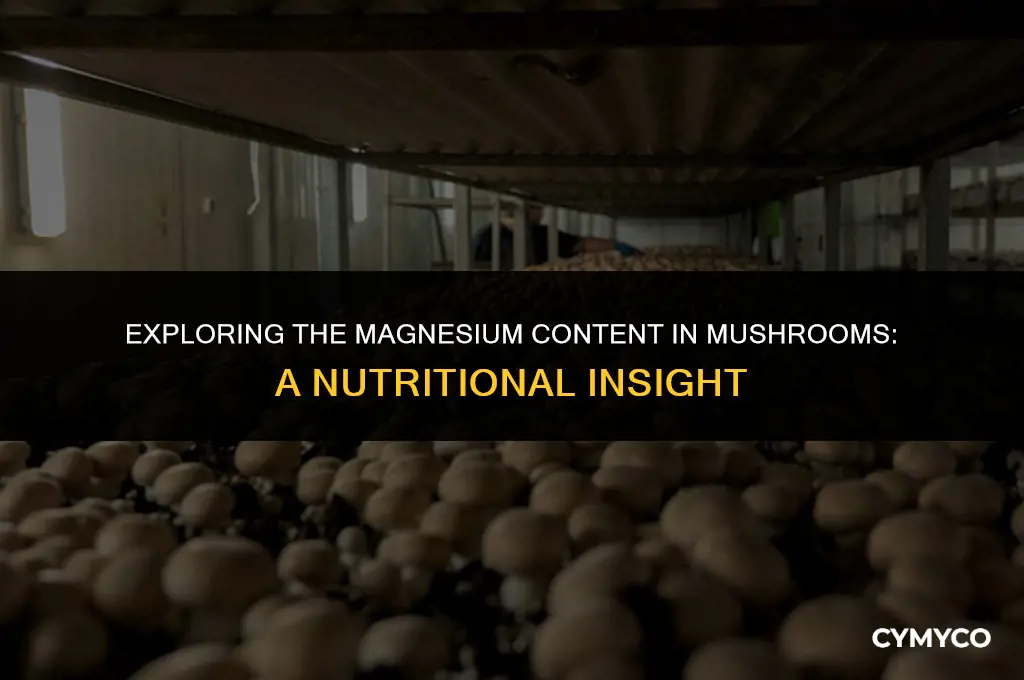 how much magnesium in mushroom