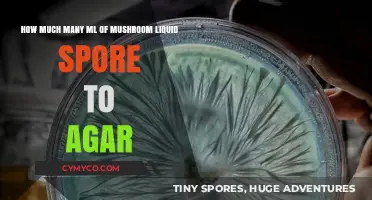 Cultivating Mushrooms: Optimal Spore-to-Agar Ratio for Successful Growth