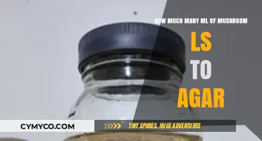 Cultivating Clarity: A Guide to Mushroom Liquid Culture Volumes