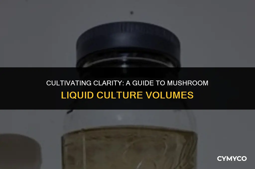 how much many ml of mushroom ls to agar