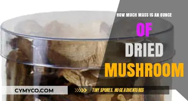 Exploring the Weight of Dried Mushrooms: A Comprehensive Guide