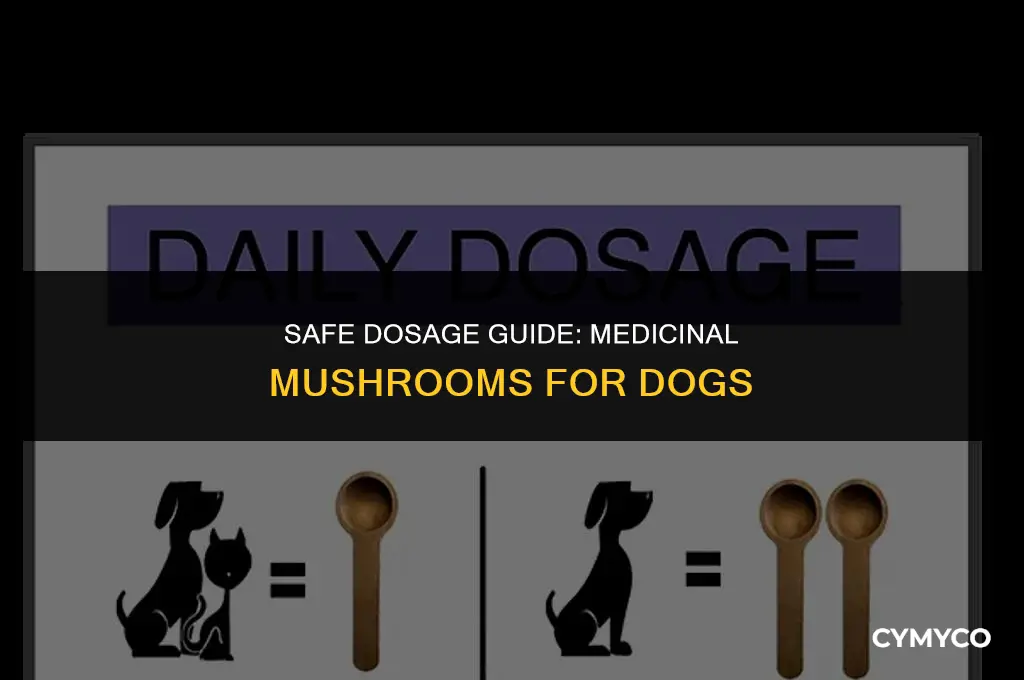 how much medicianl mushrooms to give to dog