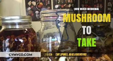 Exploring Optimal Dosages: A Guide to Medicinal Mushrooms