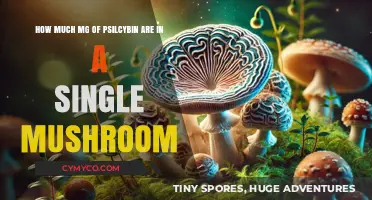 Exploring the Potency: Psilocybin Content in a Single Mushroom